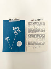 Load image into Gallery viewer, Paris Mail Club | Monthly Surprises from Paris