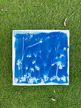 Load image into Gallery viewer, Cyanotype Art in the Jardin du Luxembourg - for kids
